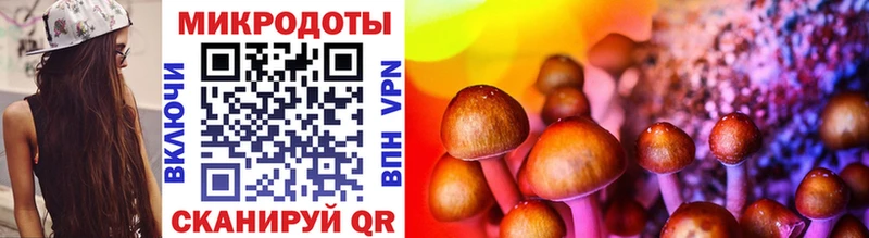 Псилоцибиновые грибы Magic Shrooms  mega   Щёлково  продажа наркотиков 